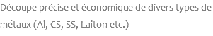 Découpe précise et économique de divers types de métaux (Al, CS, SS, Laiton etc.)